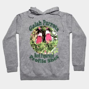 Parrots. Galah Parrots Profile Shot Hoodie